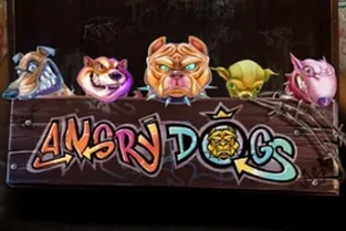 Angry Dogs