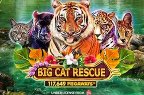 Big Cat Rescue Megaways
